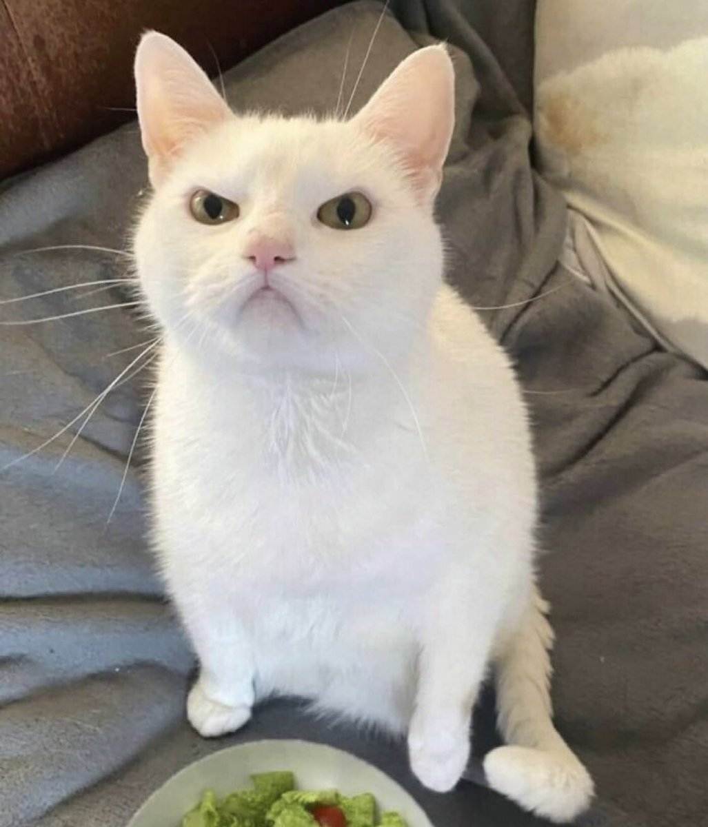 _FINELIN3's tweet image. “I GAVE YOU ALL OF THIS ALICE”