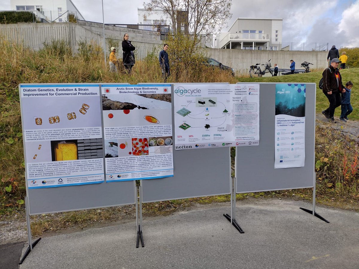 Alga Cycle tweet media