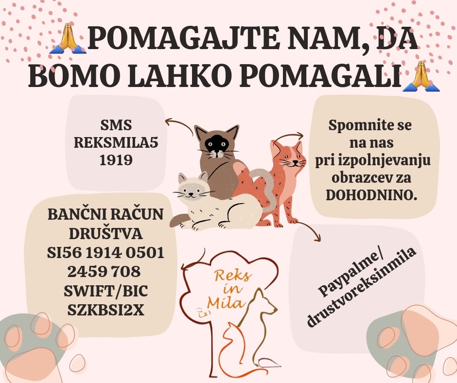 Hov-Hov.si tweet media