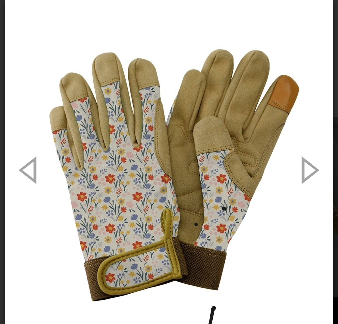 Glenn Aarstad tweet media