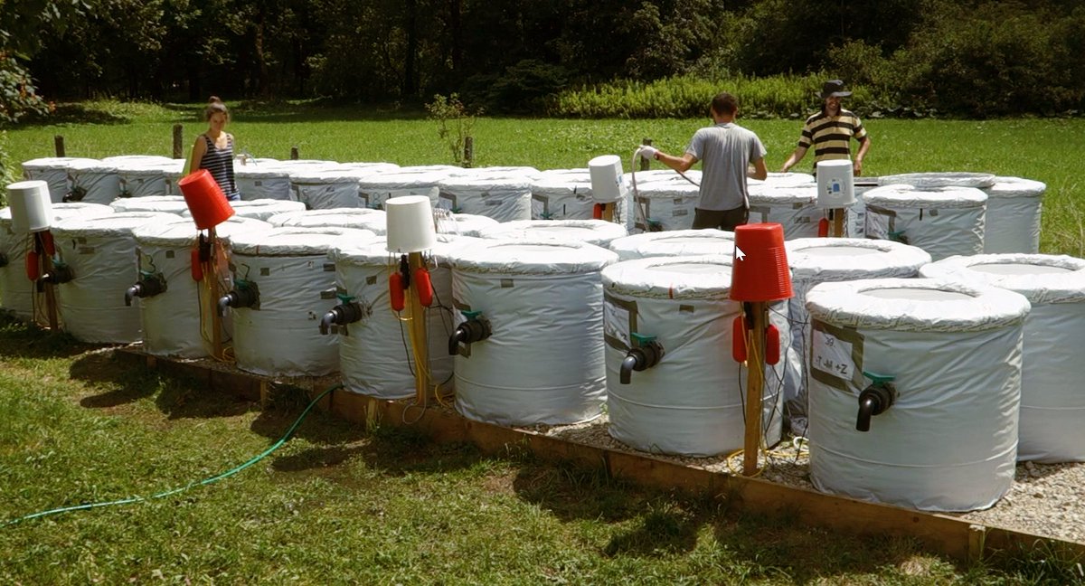 Can regional biodiversity buffer against heatwaves? Check our new preprint resulting from <a href="/aquacosm/">AQUACOSM</a> Transnational Access. Great teamwork!! @AquaScaleLab <a href="/KratinaLab/">KratinaLab</a> @SofieSpatharis @miamynta et al.