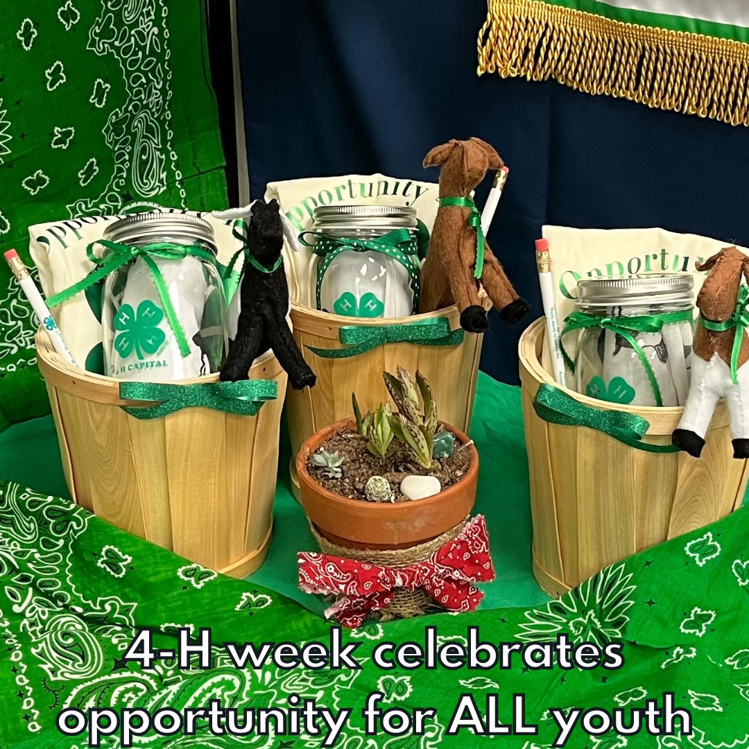 #4hweek celebrates opportunity for ALL youth! 

#4h