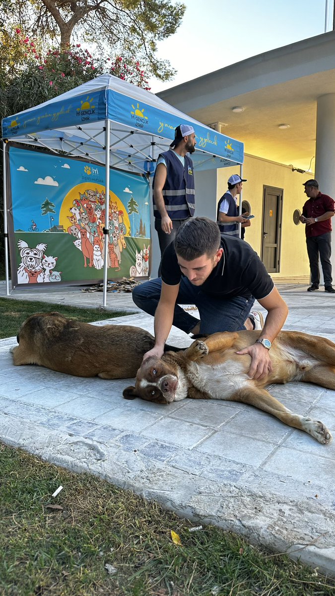 kaan_altindag's tweet photo. İyi Pati Standımız bugün Alsancak Fuar Lozan Kapısında 500kg mamamız hazır sizleride sokak hayvanlarımız için dağıtılan bu mamadan almaya bekliyoruz 🐾

@MDervisogluTR 
@TCAytunCiray 
@husmenkrkpnr 
@OrhunErturkmen 
@merveliminan 
@iyipati_ https://t.co/rHiPRE9lA0