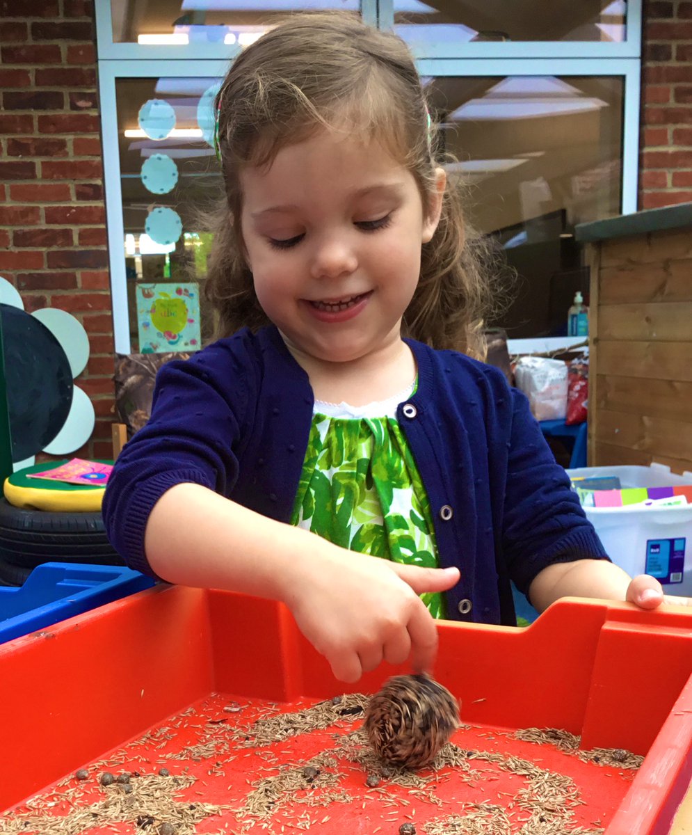 KESPreparatory's tweet photo. To help celebrate our Green Day #StroudEY made wildflower seed bombs to throw into our new nature area. We can’t wait to see them grow. 🌱🌼🌸🦋🐝#SustainableStroud #StroudSchool #StroudNursery #StroudReception https://t.co/HTfXvDQJN1
