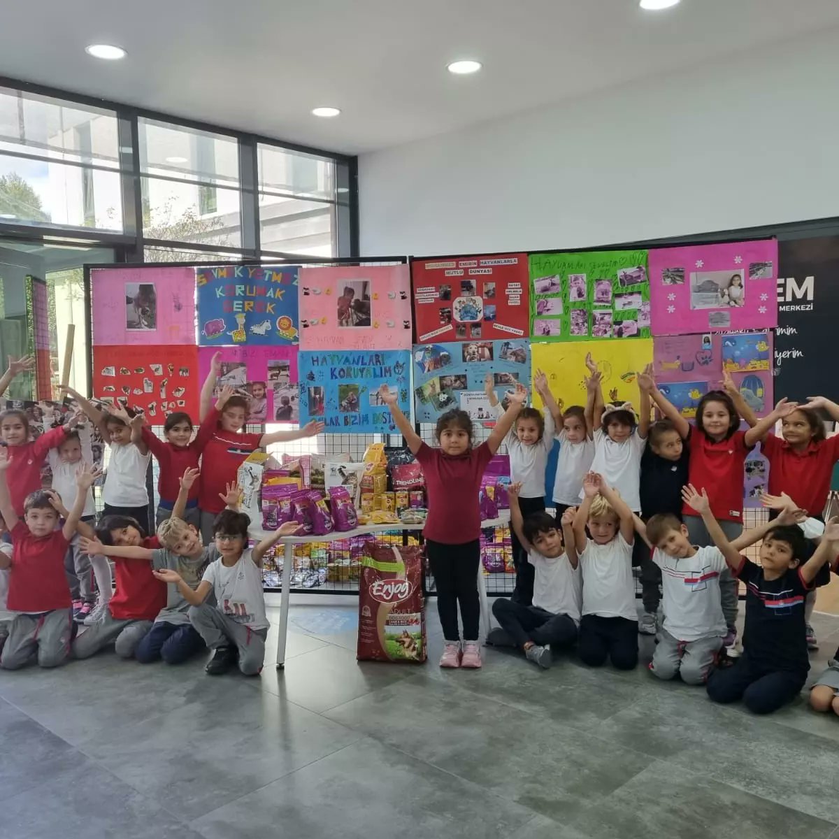 hazirmuge's tweet photo. Bugün, 4 Ekim Dünya Hayvanları Koruma Günü.1-A sınıfı öğrencilerimiz hazırladıkları pankartlar ile sloganlar atarak minik dostlarımızı sevgiyle kucaklamak için  farkındalik yaratmaya calistilar.🐕🐈��⬛🐟🐇
‼️Satın alma sahiplen‼️
‼️Korumak yetmez sevelim‼️ https://t.co/VeeaNu25xi