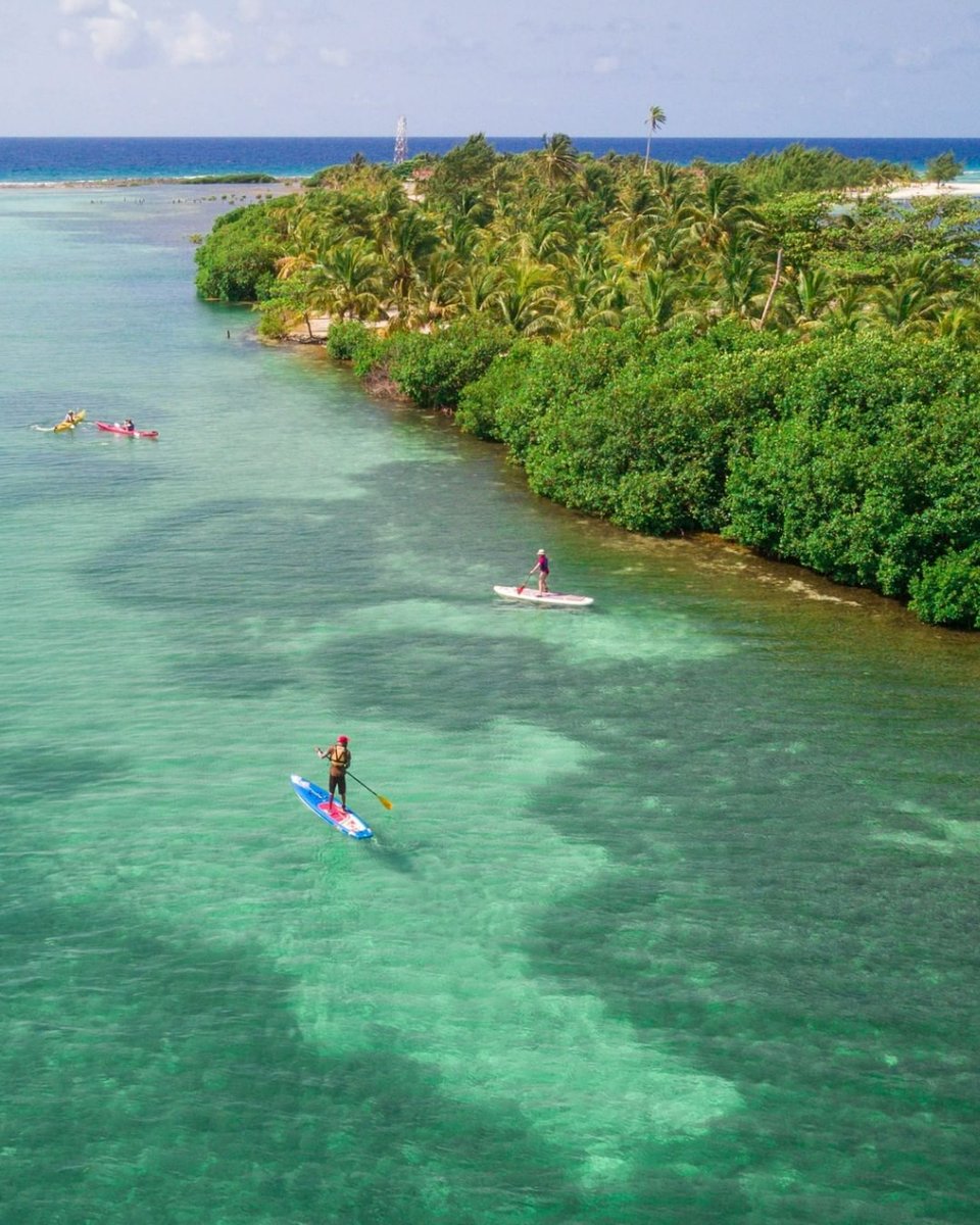 belizevacation's tweet photo. You just have to kayak or paddle the crystal waters of Belize! I mean, why not? #TravelBelize #tuesdayvibe 
📸: @IslandExp https://t.co/7pxhWitYcF