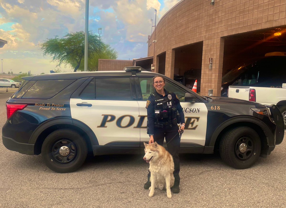 Officer Sargent found this blue eyed handsome fella wandering the area of 22nd St and Pantano Rd. Please contact @PimaAnimalCare if you’re this precious dogos human!! 🐶🐾 
#foundpup