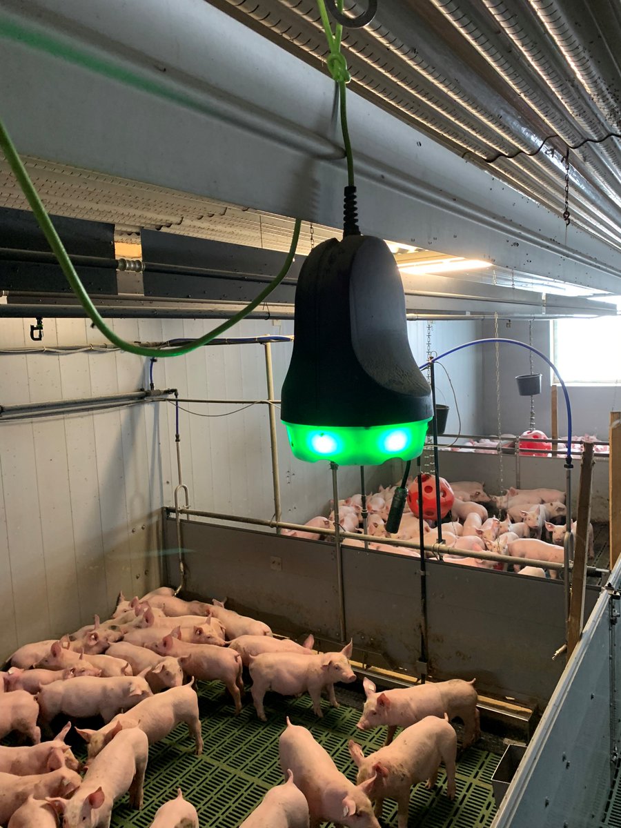 EuroTier's tweet photo. #EuroTier 2022 Gold: #SoundTalks from #Boehringer Ingelheim Vetmedica analyses sounds in the #pig pen to detect any developing respiratory tract diseases for early treatment.

Enhanced #animalwelfare results in recognition: Animal Welfare Award 

https://t.co/iuzhZx5JEo https://t.co/WhOO9G7GgC