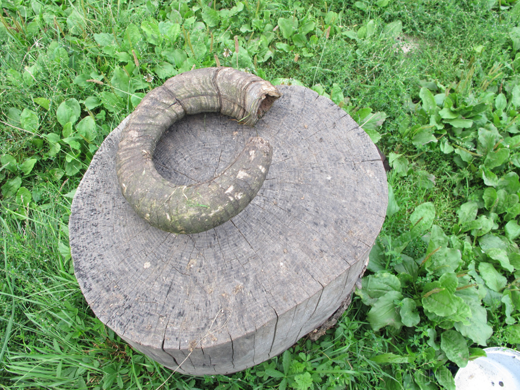 JewishHtgEurope's tweet photo. We wish all of our subscribers and readers a meaningful Yom Kippur! Gmar chatima tova! #yomkippur #shofar #ramshorn #jewishheritage https://t.co/jNJYHqh4kS
