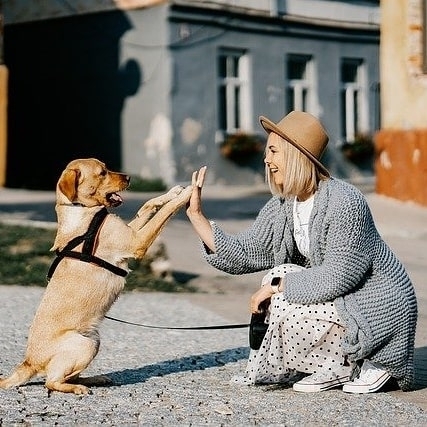 UTubePromotion's tweet photo. Attention: Influencers on Youtube
We want you
Link is in the Bio of @YoutubePromoter_com
.
#youtubeinfluencer
#youtubeinfluencers
#youtuber
#smallyoutuber
#youtubers
#doglover
#vlogger
#gamer
#makeuptutorial
#influencer https://t.co/zXWbzjT7Zt