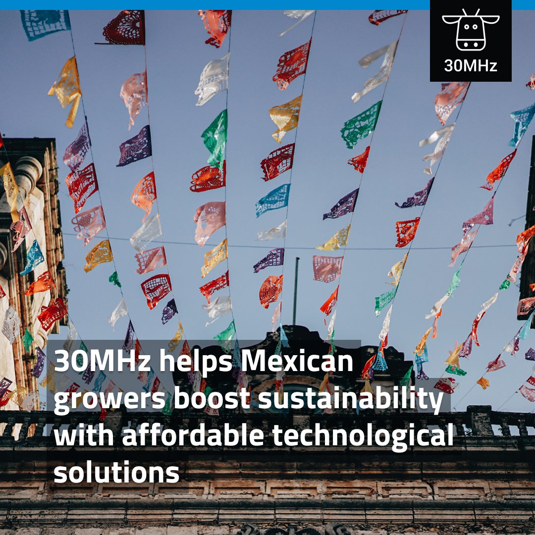 30mhz's tweet photo. Timo Spruijt from 30MHz recently participated in a #trade #mission that had ‘#water’ as a central theme. “The aim of the mission was to promote the expertise we have in the Netherlands and to support sustainable development in #Mexico.”💦 https://t.co/bZLK8rhPaP https://t.co/jUs8hAs7yh