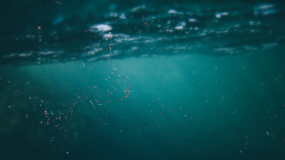 TUS_PR_en's tweet photo. Despite widespread #rivercontamination from #microplastics, on-site #sampling requirements for microplastics have not been defined. Now, #TUS develop, in a new study, a method for optimizing the sampling process for microplastic surveys.

Read more: https://t.co/7gjB3Oy9cW https://t.co/ysGCAU9lm8