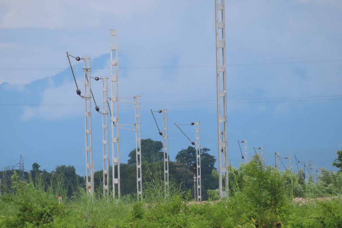 DRRD99's tweet photo. NFR towards its goal of 100% electrification. OHE Poles erected at Binnaguri, Nagrakata, Chalsa 
@drm_apdj 
@gm_nfr 
@RailMinIndia 
@NFR_Enthusiasts 
@RailNf https://t.co/kioXvLFnxl