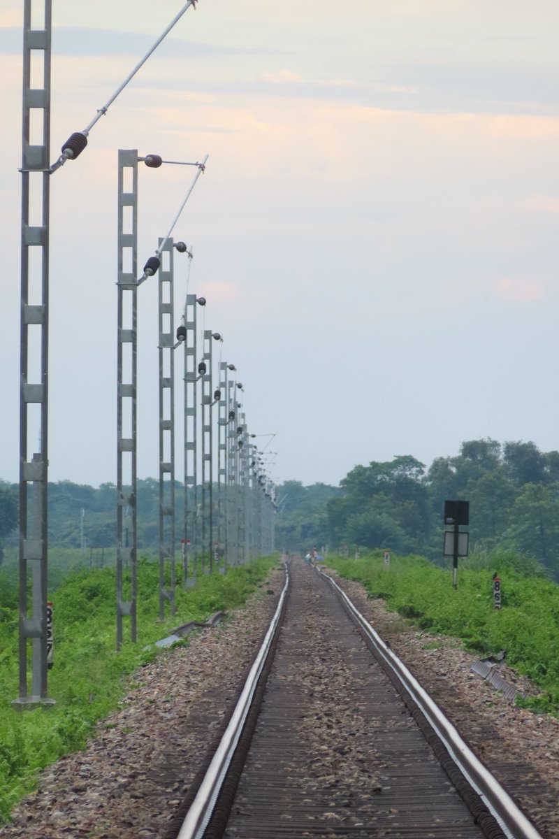 DRRD99's tweet photo. NFR towards its goal of 100% electrification. OHE Poles erected at Binnaguri, Nagrakata, Chalsa 
@drm_apdj 
@gm_nfr 
@RailMinIndia 
@NFR_Enthusiasts 
@RailNf https://t.co/kioXvLFnxl