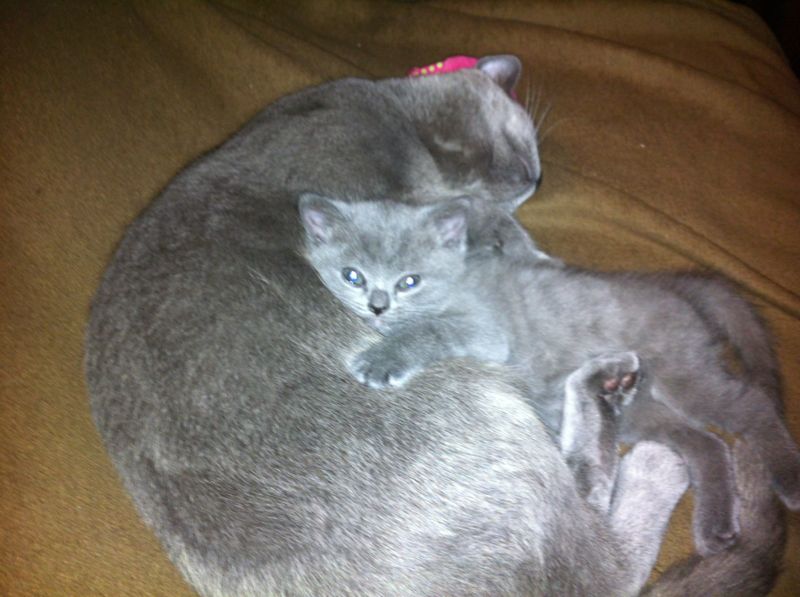 Luis Andrade tweet media