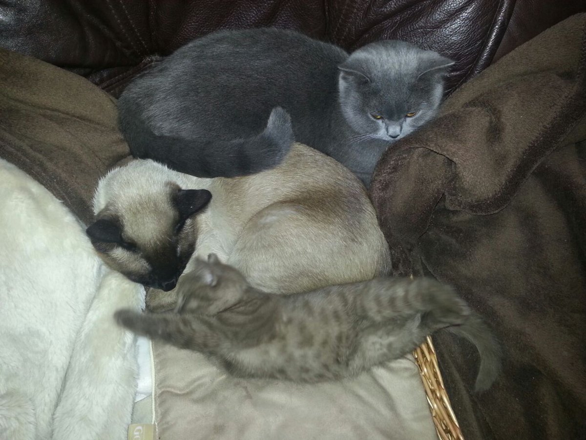 Luis Andrade tweet media