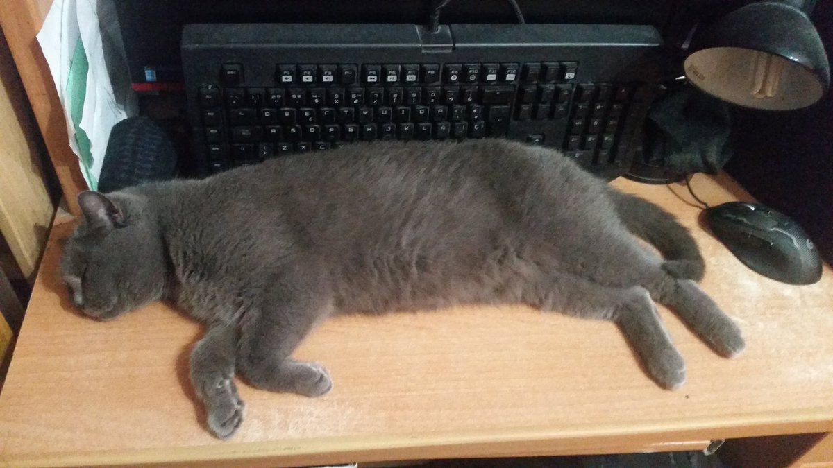 Luis Andrade tweet media