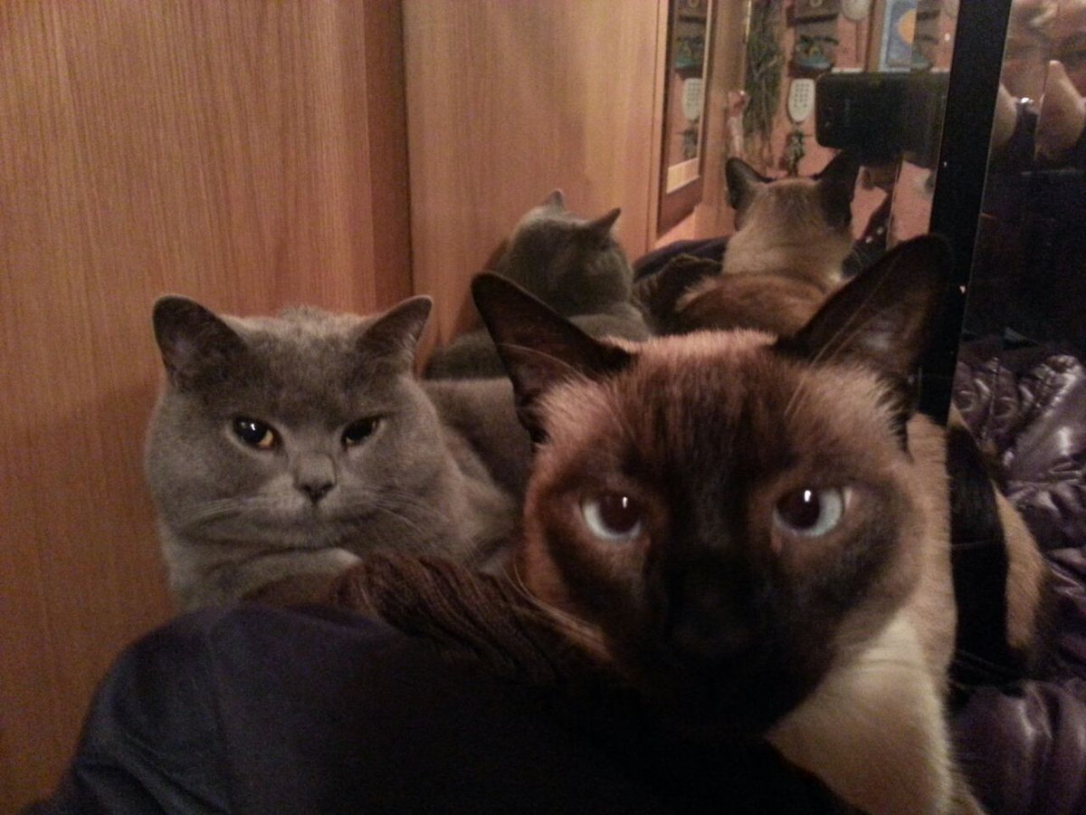 Luis Andrade tweet media