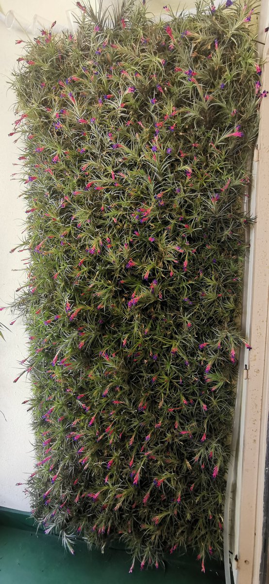 Pablo Motto tweet media