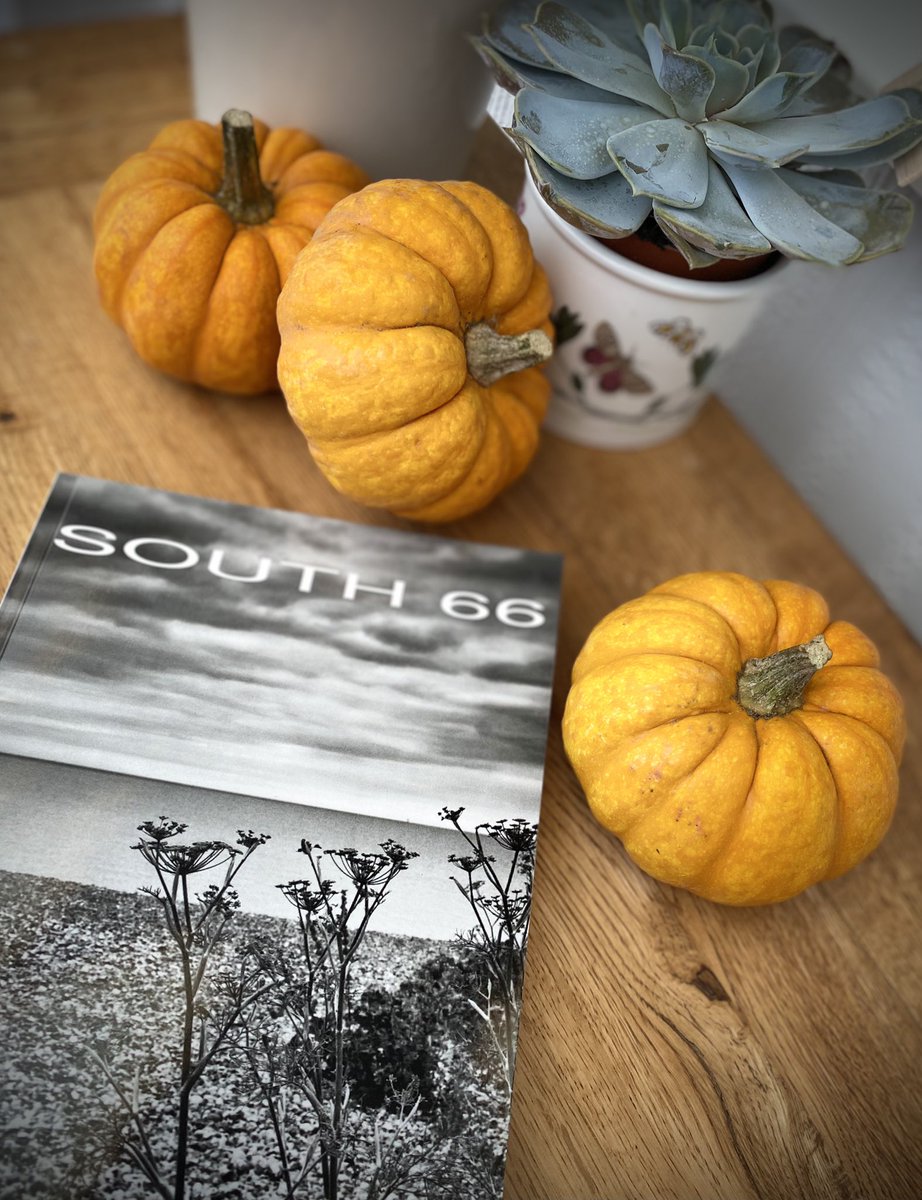 TorChamberlain's tweet image. This lovely treat landed on my doormat this morning. So excited to see my first published poem in the pages of SOUTH Poetry Magazine. Thrilled to have been selected. Happy autumn all! 💜🎃💜 #south66