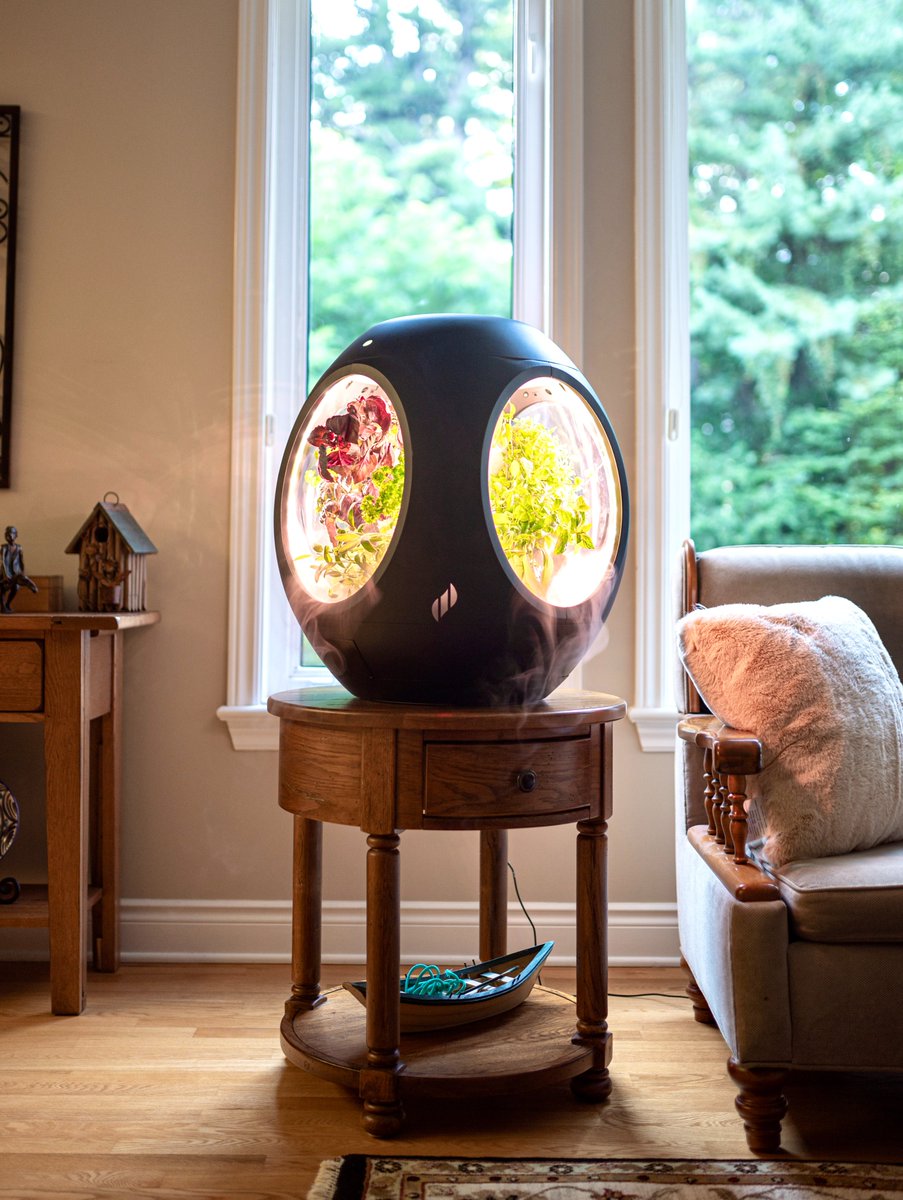 PlantaformCA's tweet photo. Imagine the feeling of harvesting fresh greens, herbs, and edible flowers from the comfort of your living room. This is just one of the benefits of growing all year round with Rejuvenate 🥬🌿💐

#plants #herbs #vegetables #flowers #rejuvenate #plantaform #thinkgreen #madeincanada https://t.co/rh0ouiUOId
