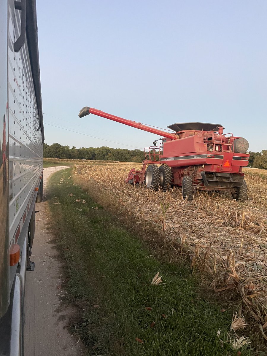 Gavin Spoor tweet media