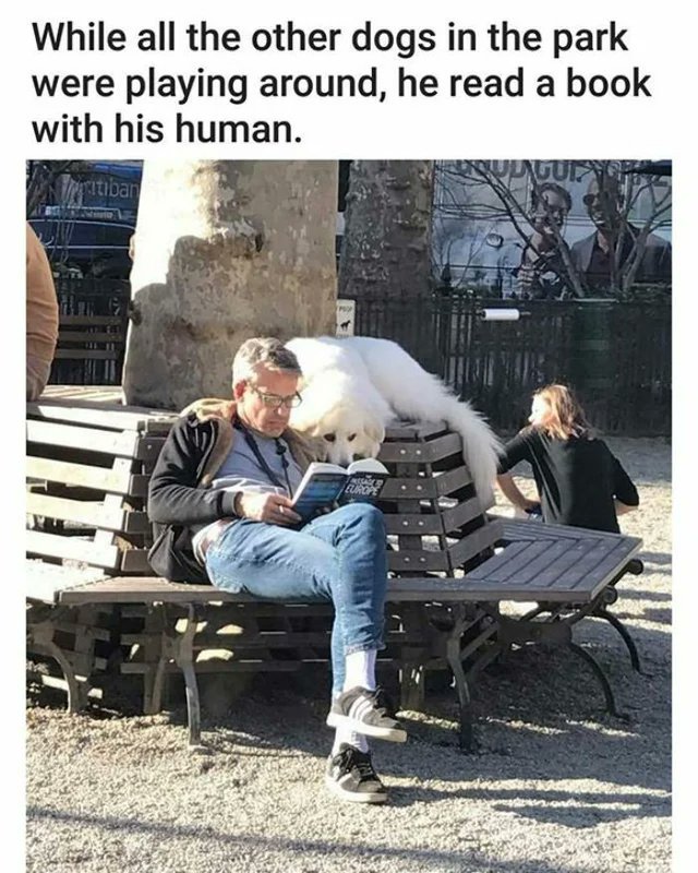 WholesomeMeme's tweet photo. https://t.co/hSzpgaMs8b