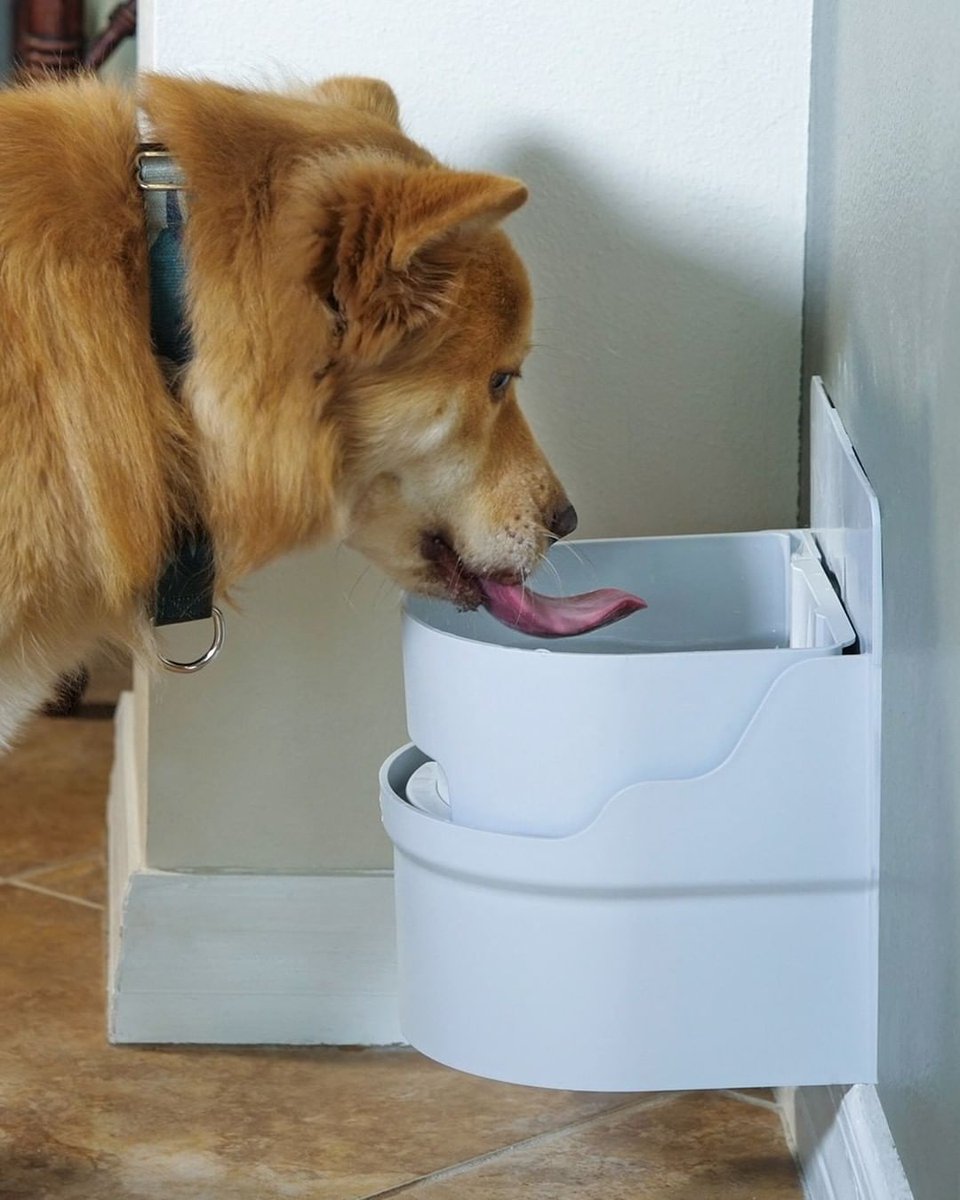 Perpetual__Well's tweet photo. Don't let your dog's basic need for water go unfulfilled. Perpetual Well is an automatic dog waterer that is self-filling &amp; self-draining. Never Dry, That's Why!

Learn more at https://t.co/B7hrtq17T7

 #dog #dogs #doggy #doghealth #doglovers #dogcare  #dogoftheday #doglife https://t.co/p3Pj3Va230