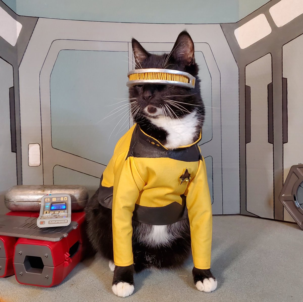 Cat_Cosplay's tweet photo. To Boldly Meow...

#StarTrek https://t.co/IjiHr3r1Zb