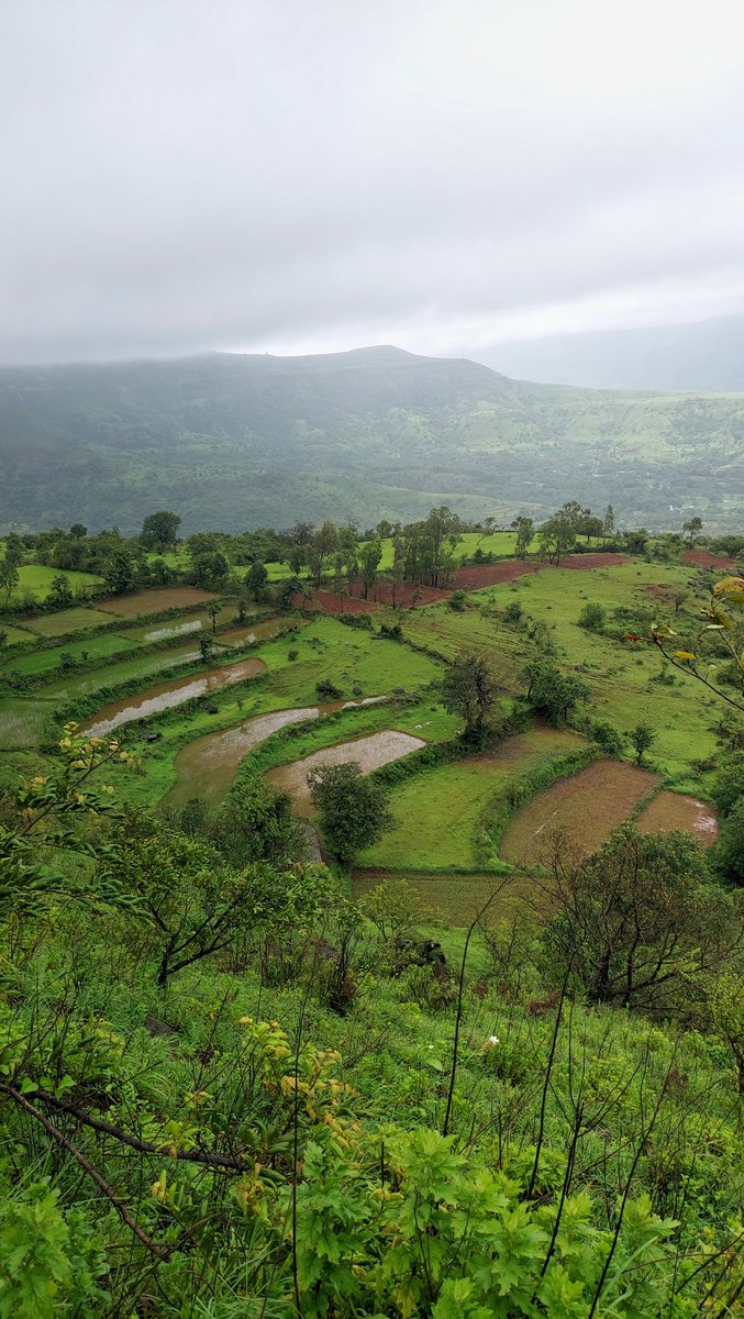 WanderManVlogs's tweet photo. Satara, Maharashtra
#satara #Maharashtra #maharashtratourism https://t.co/xemL3z7EaO