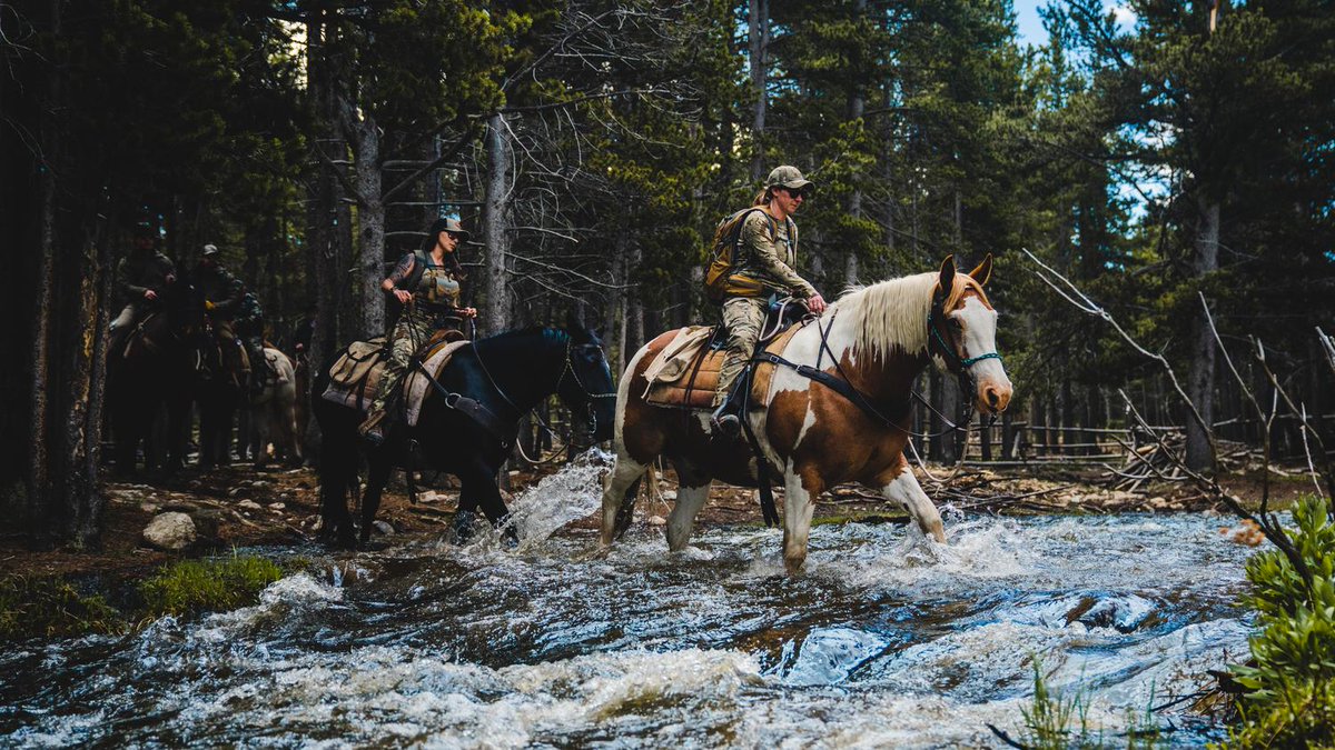 obviouslee's tweet photo. Badass women and gear in the Bighorns 🏔️ OM, KUIU and 9 top tier female writers took to the rugged Wyoming wilderness this June, testing the brand new line of KUIU women's hunting gear. Learn more about  in-person adventures and dynamic events below!
https://t.co/YtIErZbdCa https://t.co/0o7nG9tdip