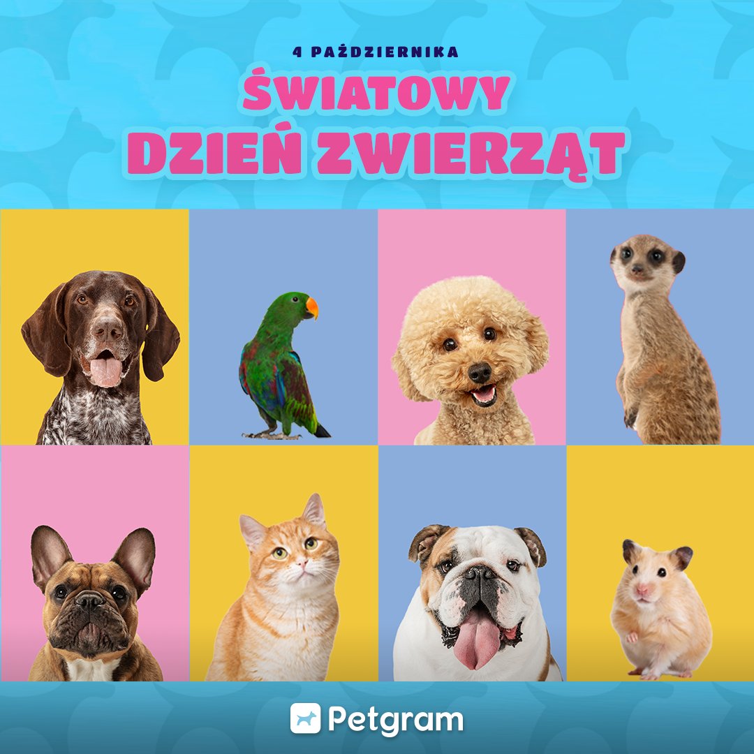 Petgram1's tweet photo. Z okazji dzisiejszego święta, cały zespół Petgram chciałby złożyć najserdeczniejsze życzenia wszystkim naszym użytkownikom i ich pupilom🥰Petgram to nie tylko aplikacja dla psów, kotów i ich opiekunów. U nas każdy zwierzak jest mile widziany💗

#Worlds #pets #day #love #wishes https://t.co/inHlLad6cz
