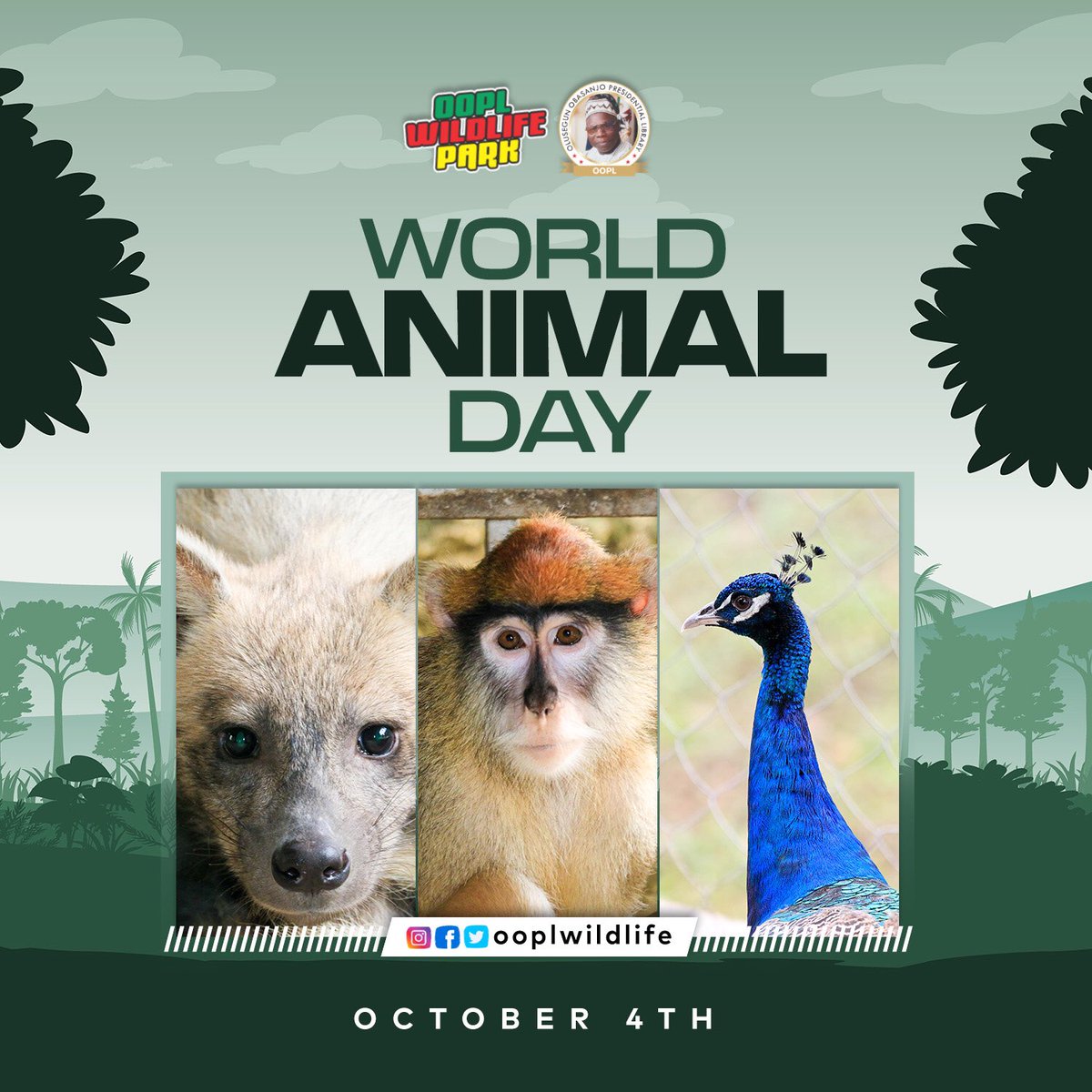 “Anyone that doesn’t love animals, has a serious hole in their heart” Lawrence Overmire. 

It’s World Animal Day. Show some love to animals todays. Visit a conservation facility and donate or adopt an animal. #oopl #ooplwildlife #October 
#WorldAnimalDay2022 #WorldAnimalDay