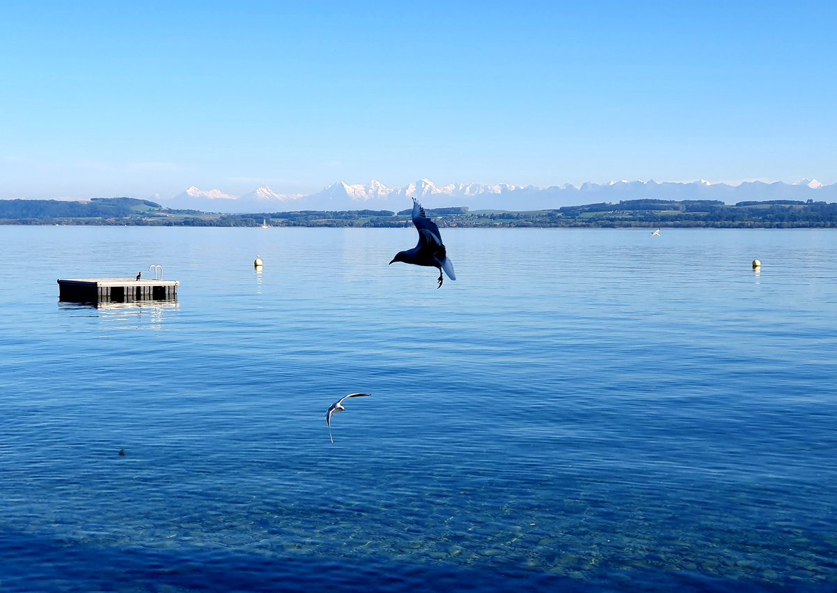 The view when leaving my office at <a href="/UniNeuchatel/">Université Neuchâtel</a> today.