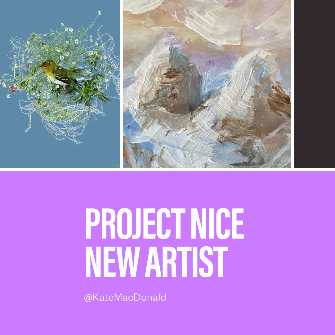 Project Nice tweet media