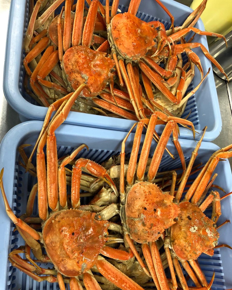abe18997433's tweet photo. 10月に入りズワイ蟹��漁が解禁
いよいよ蟹🦀の季節
当店も酒田港と由良港でとれたズワイ蟹を仕入れしました

#志幡
#酒田市
#日本料理
#山居倉庫
#テイクアウト
#弁当
#山形県
#人参の飾り切り
#食の都庄内
#庄内たび https://t.co/tZVCdPvlYM