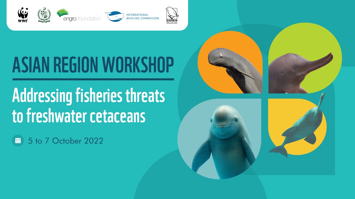 WWFPak's tweet photo. @WWFPak is bringing together international experts and organizations to discuss threats facing Asian river dolphins from fishing activities and to develop a regional conservation management plan for the species.

#AsianRiverDolphins #gillnetmortality #fishingpractices https://t.co/TP76fkh6P7