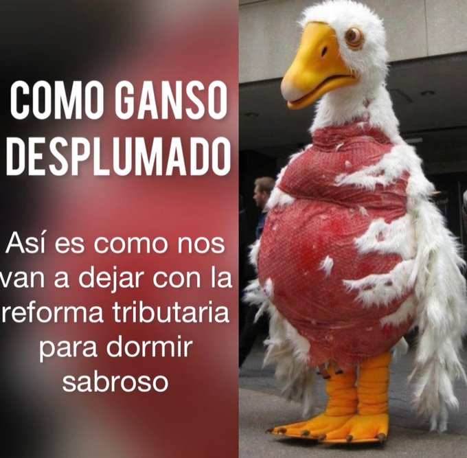 glorialopez49's tweet image. #orror  #DolorDePatria