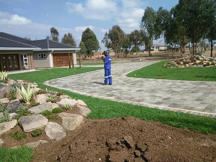 BlessingMeya5's tweet photo. I do landscaping garden designing garden mantainance,0773199249 https://t.co/tDMzbfd04I