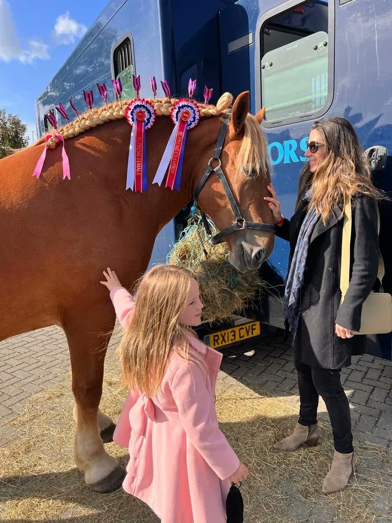 We enjoyed a fantastic morning at the <a href="/NHRMuseum/">National Horseracing Museum</a> this weekend, meeting some beautiful horses and finding out more about Suffolk Punches. 

With several events on throughout the year, head over to the NHRM website to find out more. 

#NHRM #BuryWestSuffolkMag