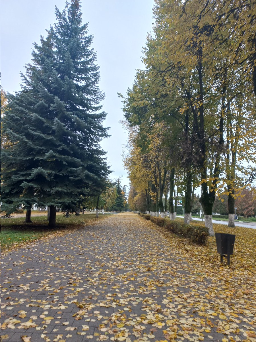 Осень 🍁🍂🍁🍂🍁#Новомосковск