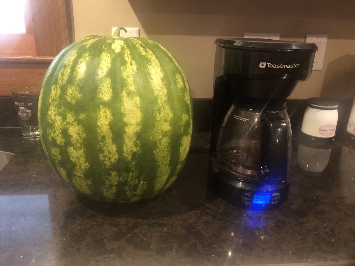 GarySchotanus's tweet photo. Sometimes it’s better to be lucky than good. Garden 2022 turned out ok in spite of my skills or lack of. https://t.co/1r6ufkzUpv