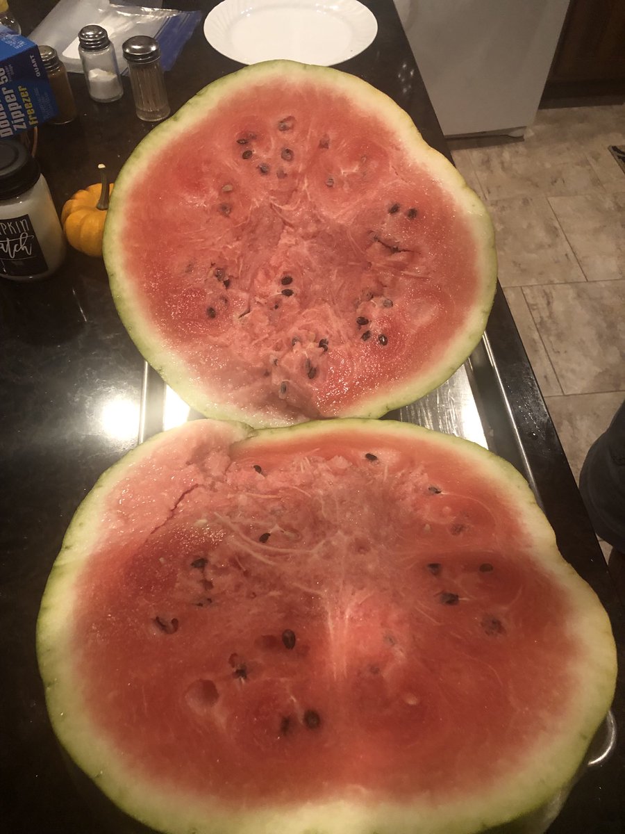 GarySchotanus's tweet photo. Sometimes it’s better to be lucky than good. Garden 2022 turned out ok in spite of my skills or lack of. https://t.co/1r6ufkzUpv
