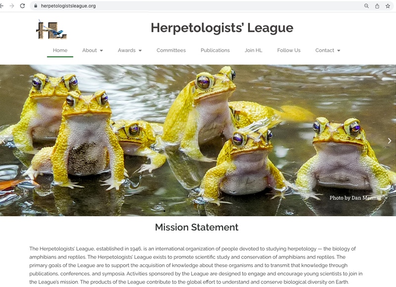 DMennill's tweet photo. Neotropical Yellow Toads have hopped on to the webpage of the Herpetologists' League! 🐸🇨🇷
https://t.co/AN0BWekhhb
We have an upcoming paper in Herpetologica, the @HerpLeague's journal, and one of our Yellow Toad photos now appears on their web banner. 😙 https://t.co/kGh89pEUaT