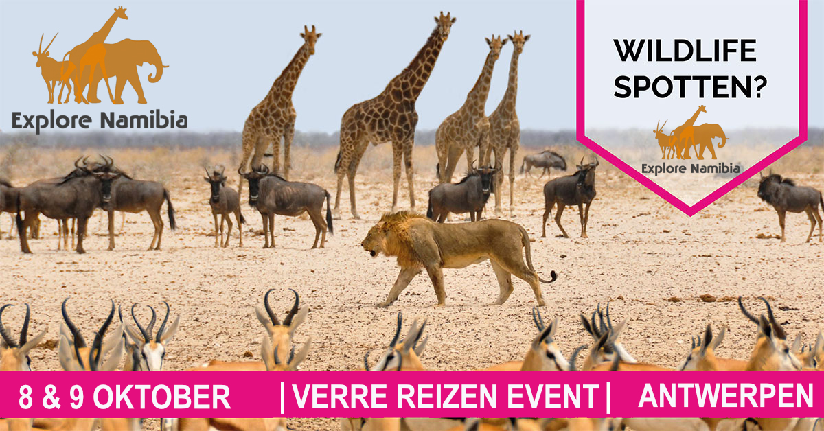 De reisexperts van Explore Namibia zijn aanwezig tijdens het Verre Reizen Event 2022 in de Waagnatie, Antwerpen in het weekend van 08/09 oktober 2022.

Ben je geïnteresseerd in een avontuurlijk reis naar Namibië en/of Botswana, kom dan zeker even langs bij onze stand.