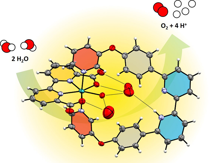 Universität Würzburg #UniWürzburg (@uni_wue) on Twitter photo Solar fuels: #wuerthnergroup with hot news <a href="/NatureCatalysis/">Nature Catalysis</a>, on the way to sunlight-driven production of #hydrogen: An enzyme-like water preorganization in a synthetic molecular cleft for the catalysis of water oxidation. <a href="/beuerlegroup/">Florian Beuerle</a> ➡️go.uniwue.de/artienzy Solar fuels: #wuerthnergroup with hot news <a href="/NatureCatalysis/">Nature Catalysis</a>, on the way to sunlight-driven production of #hydrogen: An enzyme-like water preorganization in a synthetic molecular cleft for the catalysis of water oxidation. <a href="/beuerlegroup/">Florian Beuerle</a> ➡️go.uniwue.de/artienzy