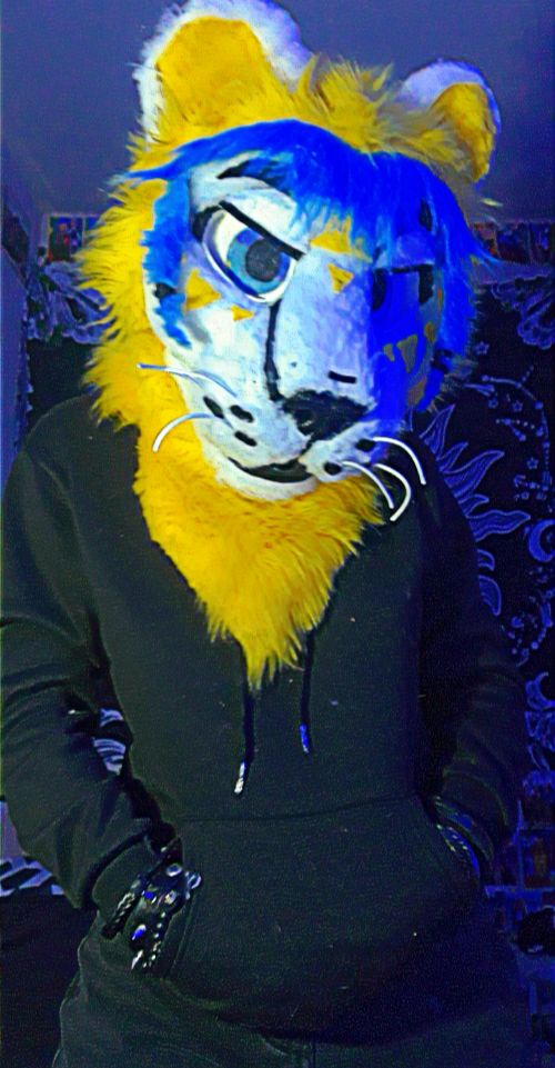 punky_the_rat's tweet photo. ♡New fursuit i made♡ https://t.co/skAXPMPpbo