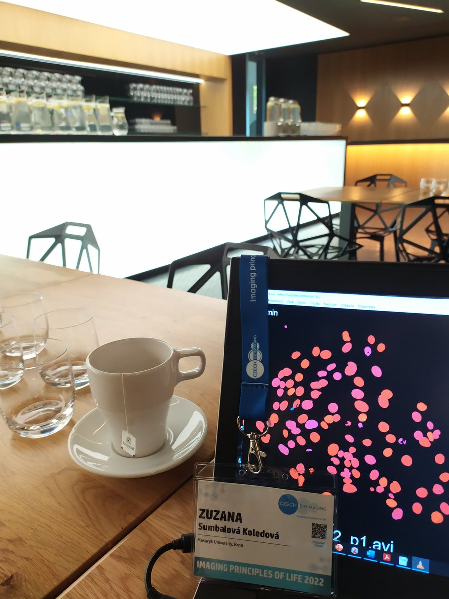 KoledovaZuzana's tweet photo. Tweaking my presentation for the #CzechBioimaging conference Imaging Principles of Life in Hustopece, @amandehotel. @Ceitec_CellimCF @Science_MEDMUNI https://t.co/XlSj2IXerR