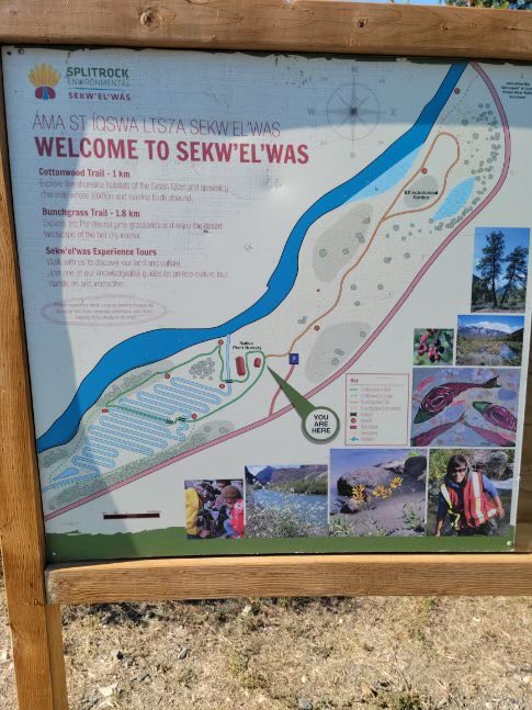 Epitetj's tweet photo. #SeedsandStories #IndigenousSeedCollectionProgram #SeedsForOurFuture #IndigenousSeedCollection Donnie loved Lillooet, great crew at Splitrock Environmental…now off to Vancouver Island https://t.co/I1hjXTgXCI