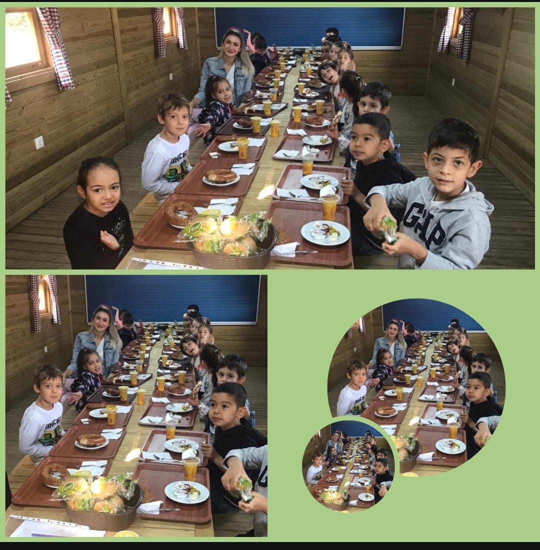 bk_cayyolu's tweet photo. Yeşil Sınıf öğrencilerimiz,Ekolojik Evimizde kahvaltı yaparak güne keyifli başladılar.🧀🥨🥚🥛

#bahçeşehirkoleji
@SuleAslan_ https://t.co/8UNdtIuoGR